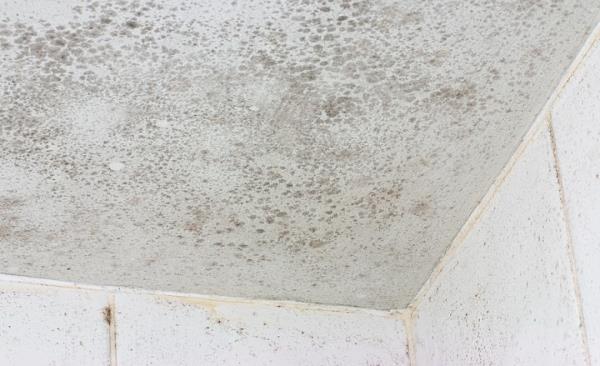Mold Remediation by Resolve Restoration