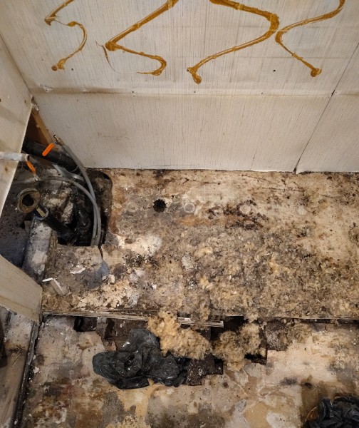 Sewage Cleanup in Stevens Point, WI (1)